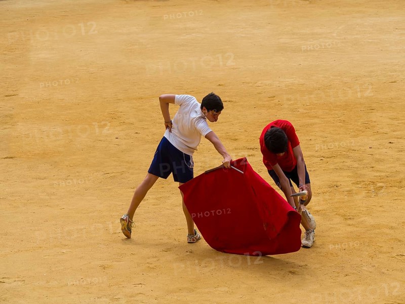 Toreros practicing bullfighting in bullring