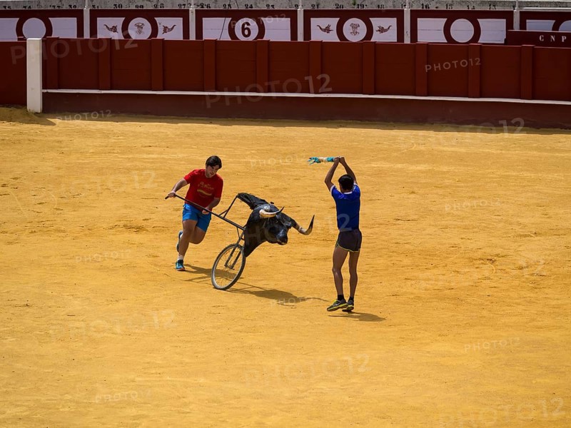 Toreros practicing bullfighting