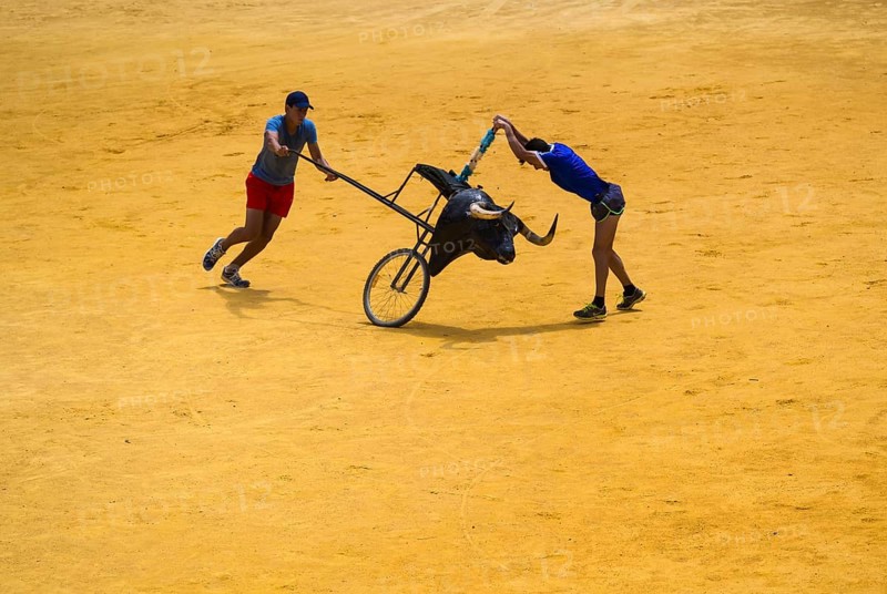 Toreros practicing bullfighting
