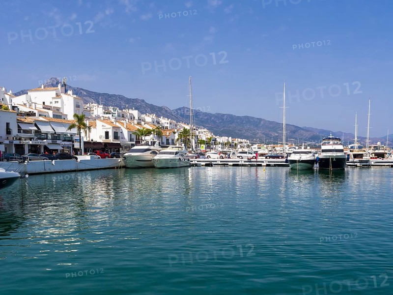 Marina with luxury yachts