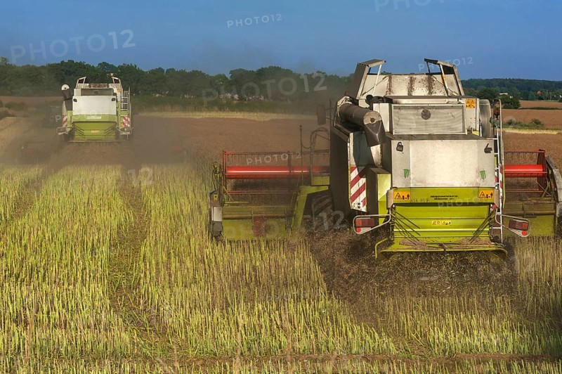 Two combine harvesters