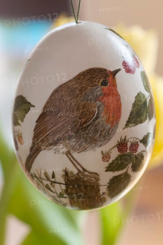 Duck egg with painted on Robin