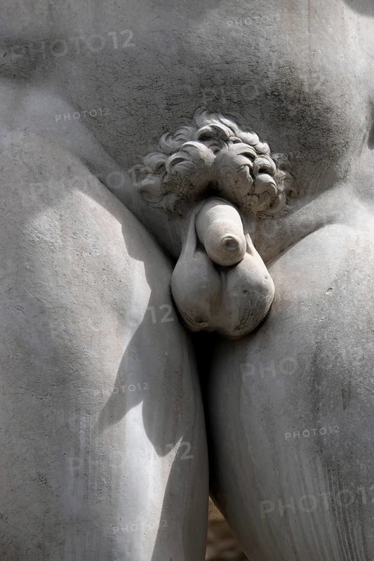 Penis