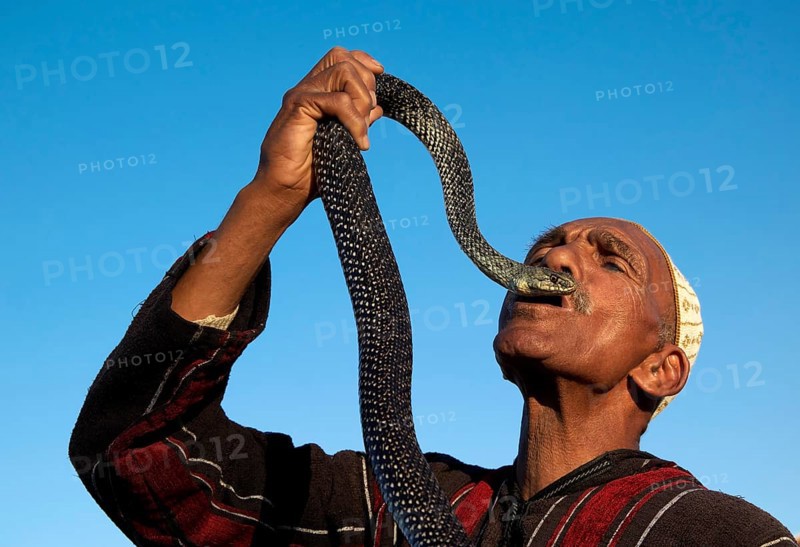 Entertainer holding snake