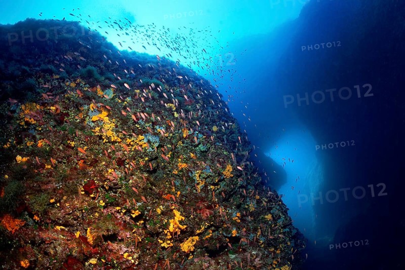 Underwater rocks