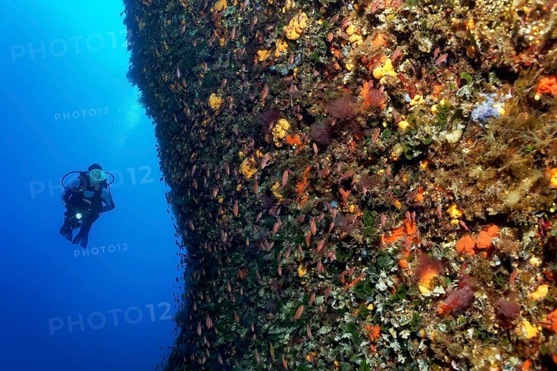 Diver by a vertical rock face