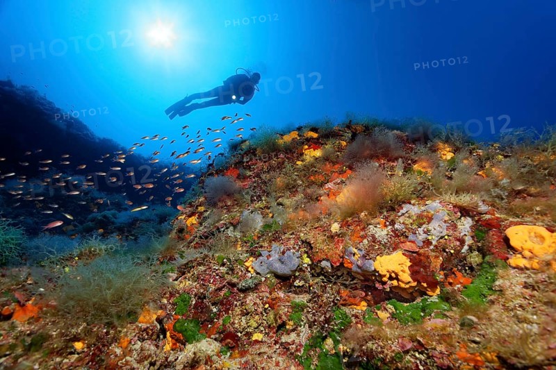 Diver by a vertical rock face