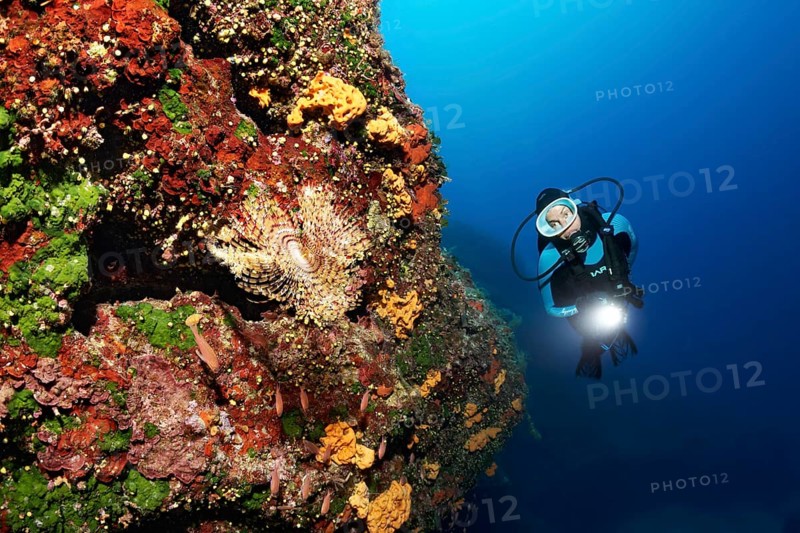 Diver with lamp