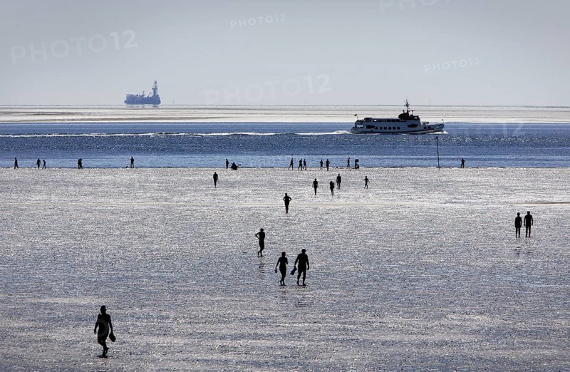 Strollers walking at low tide on the foreshore