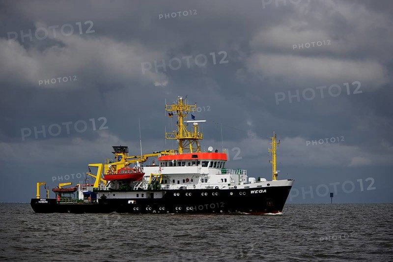Wega container ship