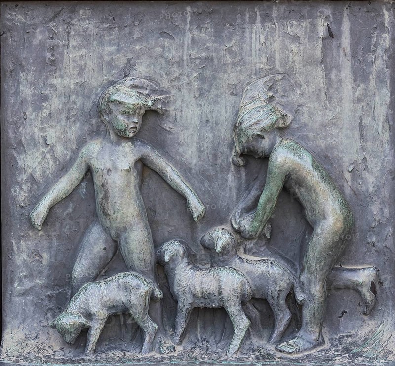 Children and sheep
