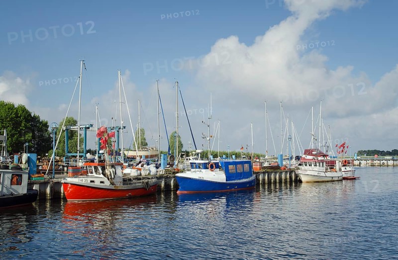 Fishing boats in the harbour