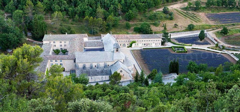 View of Cistercian abbey Abbaye Notre-Dame de Senanque with lavender field