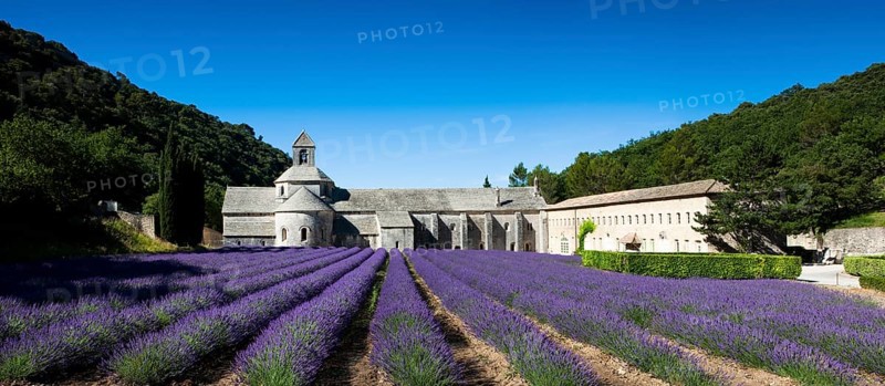Cistercian abbey Abbaye Notre-Dame de Senanque with lavender field