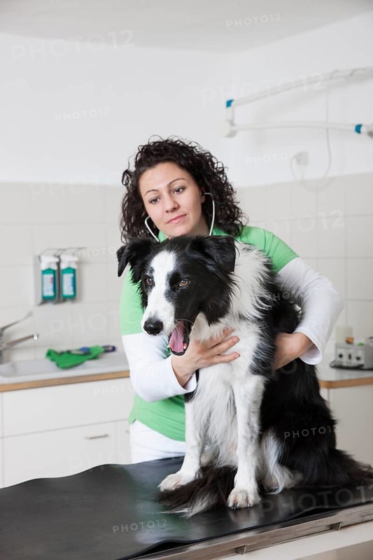 Veterinarian