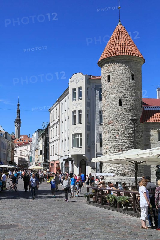 Viru Gate with tower by the city wall and the town hall