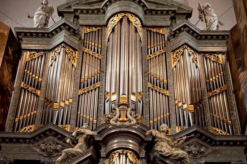 Duyschot Organ