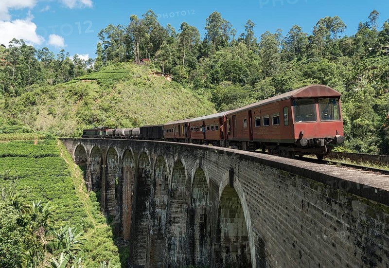 Train on Nine Arches Bridge