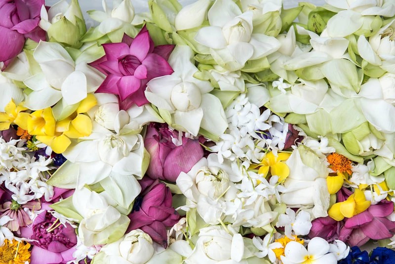 Flower offerings at Buddhist Mahiyangana Raja Maha Vihara Temple