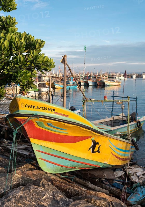 Fishing boat in the Harbour of Mirissa
