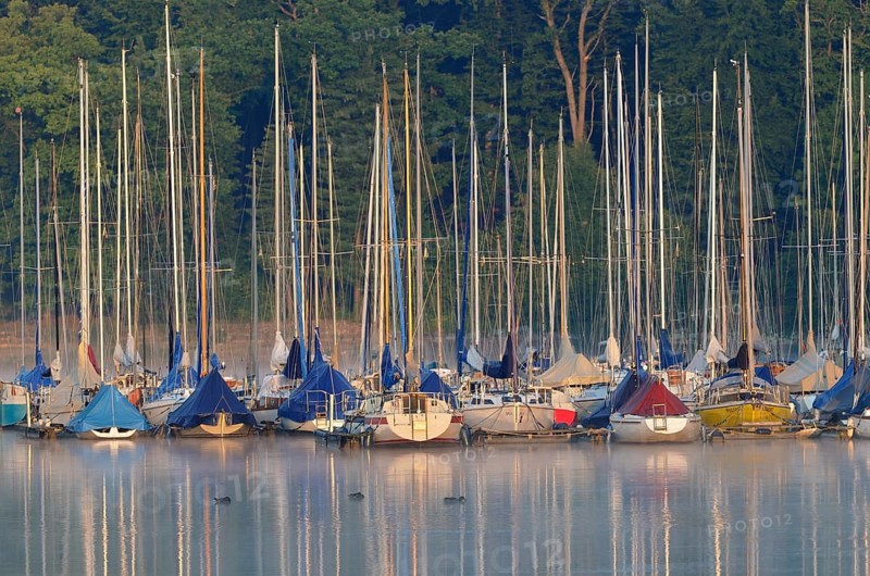 Sailboats