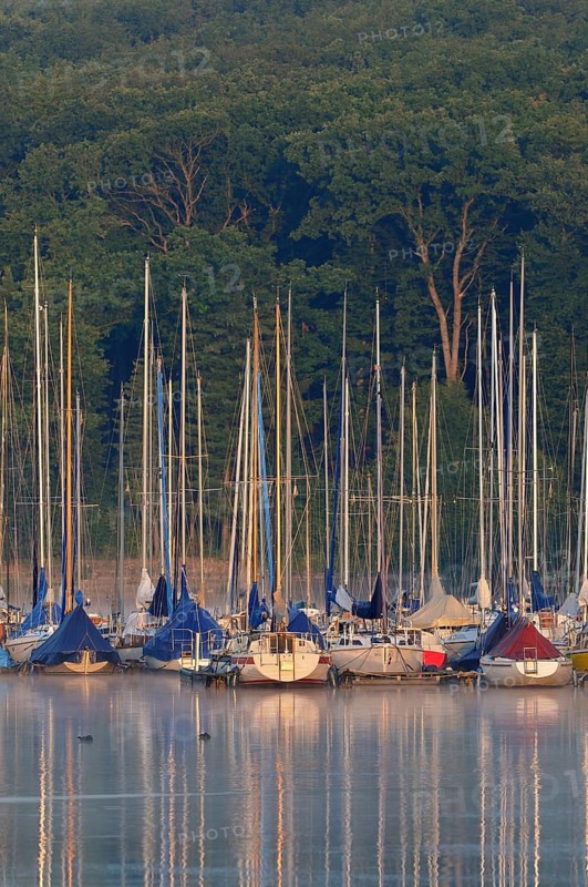 Sailboats