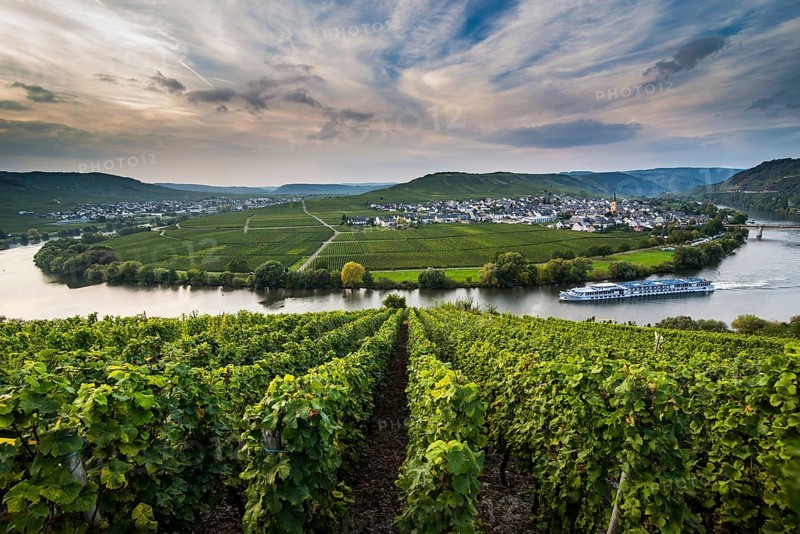 Cruiseship shipping between the vineyards around the Moselle