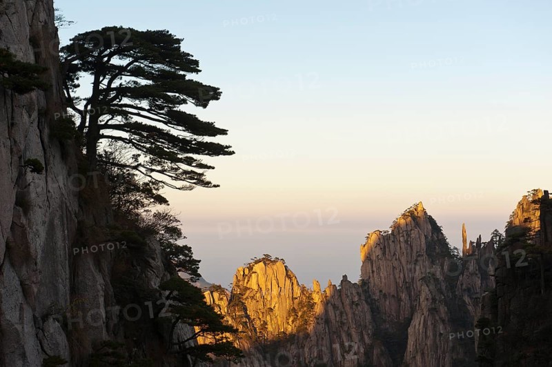 Bizarre towering rocks and mountains covered with scattered trees