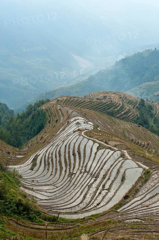 Longsheng rice terraces