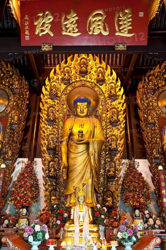 Golden Buddha Shakyamuni with fire ring