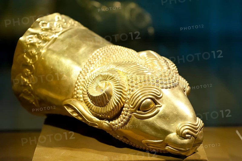 Gold rhyton
