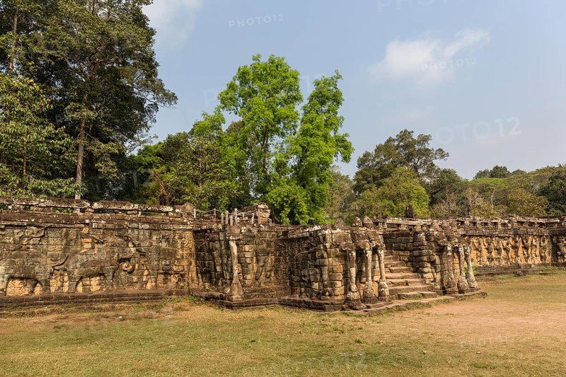 Elephant Terrace