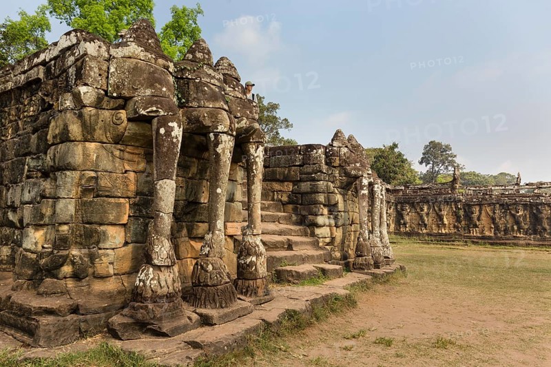 Elephant Terrace
