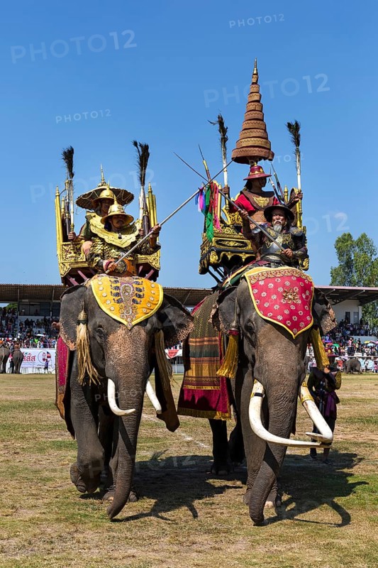 War elephants with soldiers