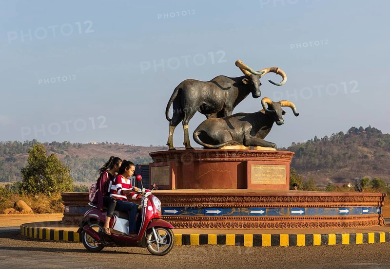 Bull monument at the roundabout