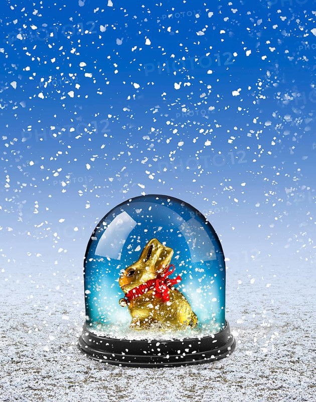 Chocolate Easter bunny in snow globe