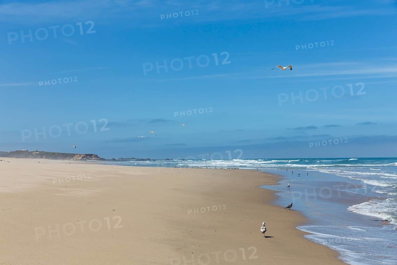 Sandy beach off Highway 1 or California State Route 1 at San Gregorio