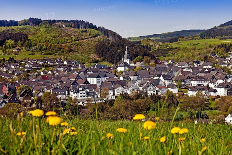 View of the town in spring with the church of St. Heribert