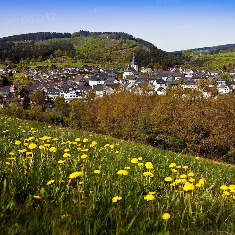 View of the town in spring with the church of St. Heribert