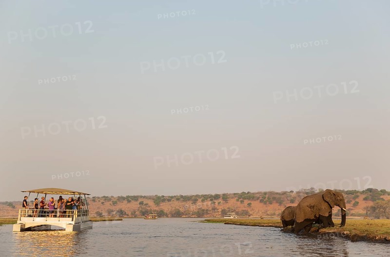 Tourists on a boat cruise on the Chobe River observe a group of African Elephants