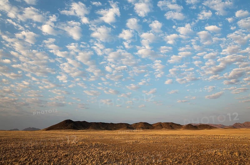 Arid plains