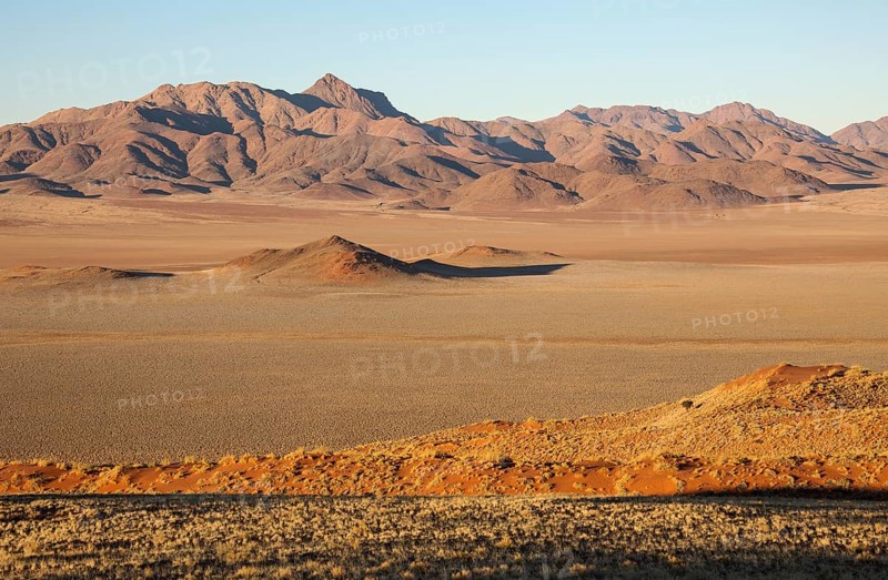 Sand dunes covered with bushman grass