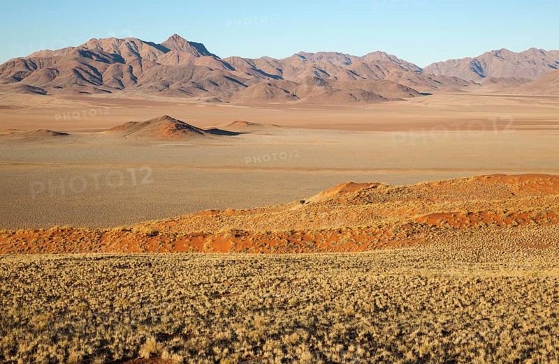 Sand dunes covered with bushman grass
