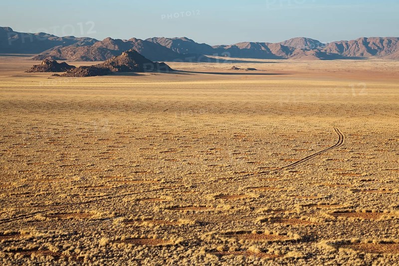 Grass covered desert plain at the edge of the Namib Desert