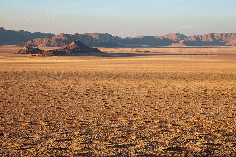 Grass covered desert plain at the edge of the Namib Desert