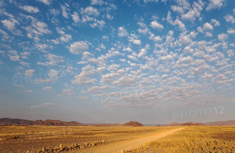 Gravel road on arid plain