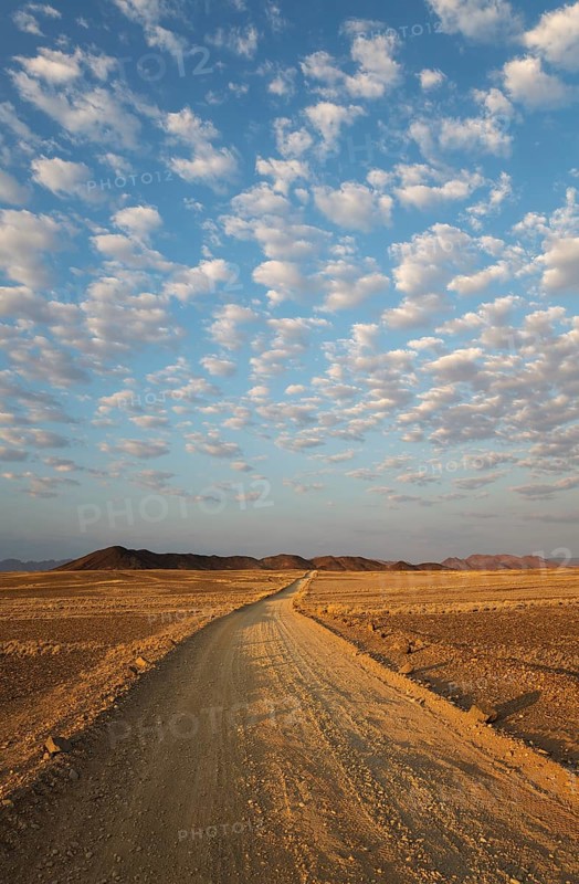 Gravel road on arid plain