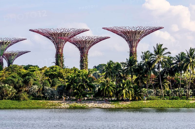 Supertrees