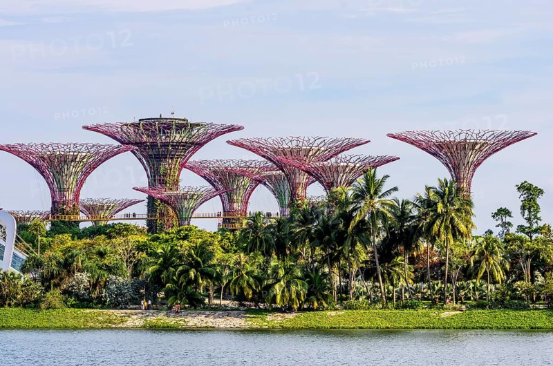 Supertrees