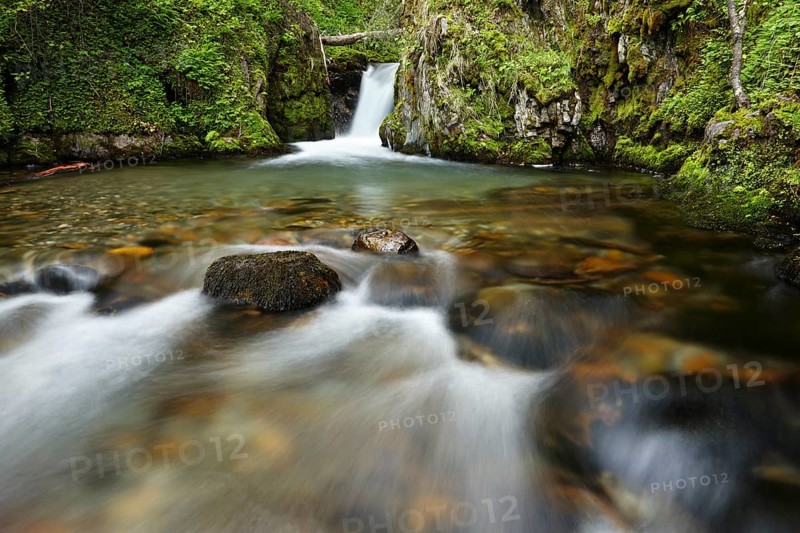 Stream